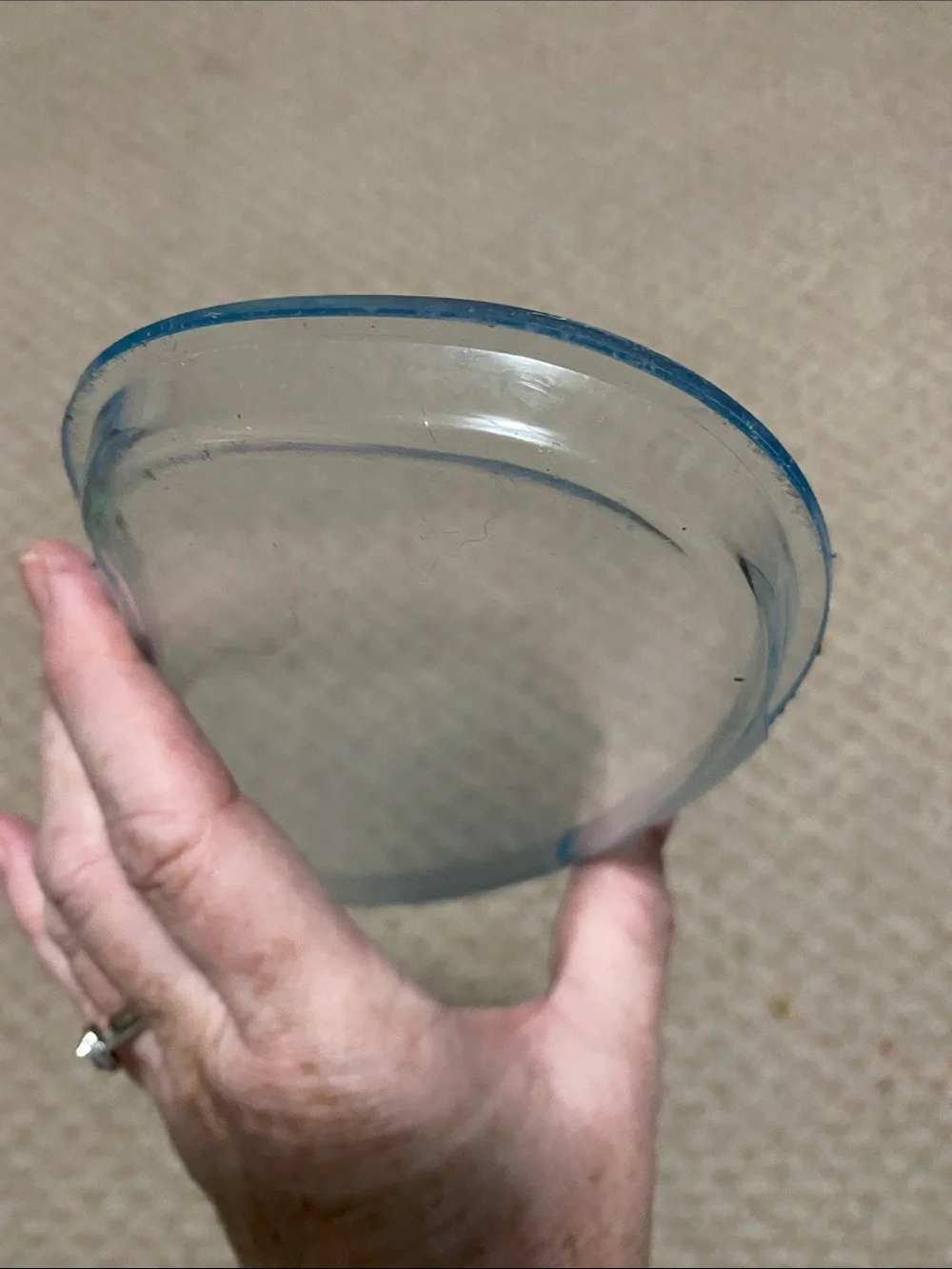 Skip Hop activity center clear view plastic snack tray panel replacement